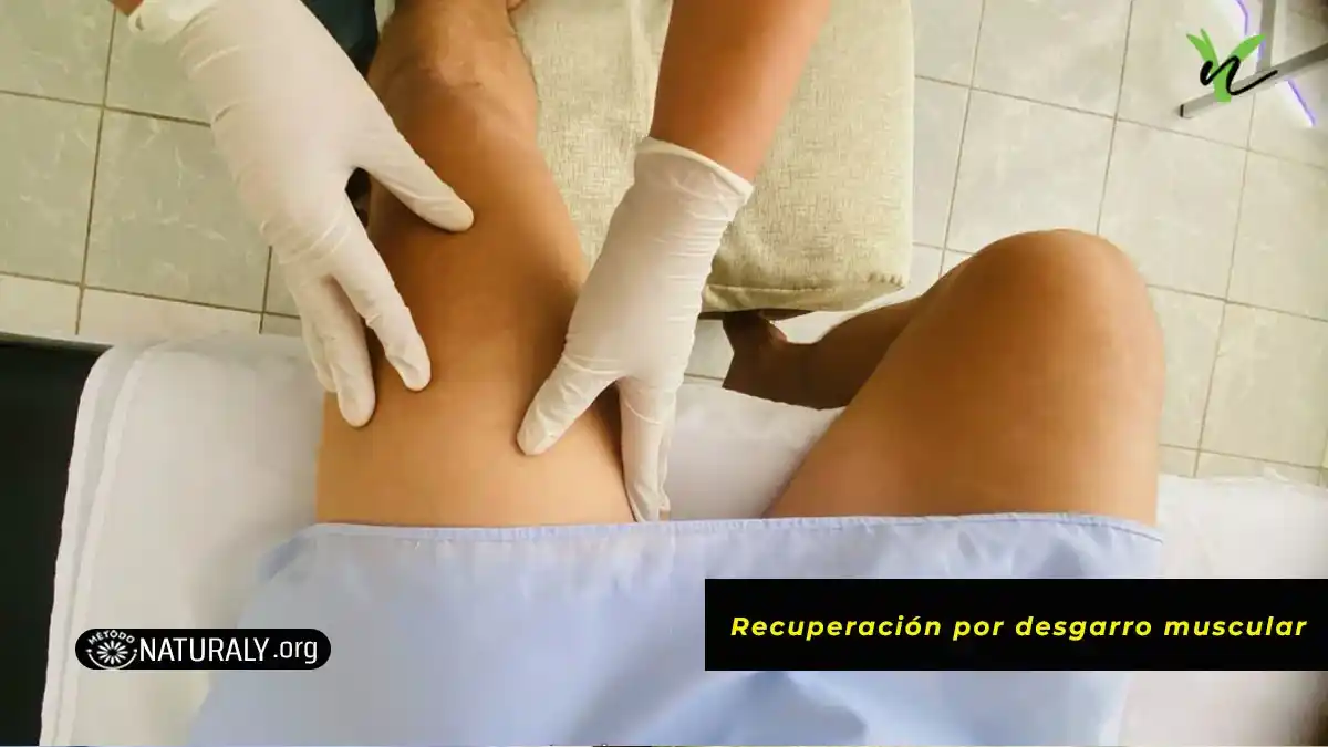 2 Fases PODEROSAS en la recuperación por desgarro muscular.